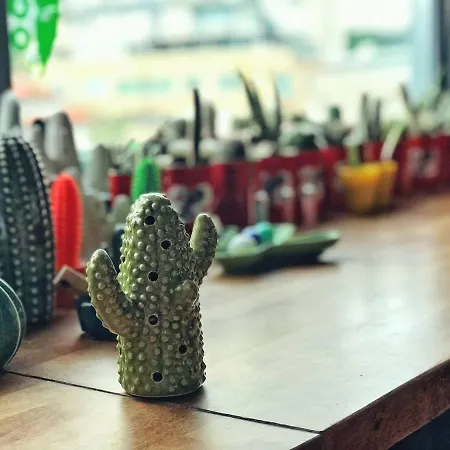 Apartament ⍟ Cactus Biosphere ⍟ *
